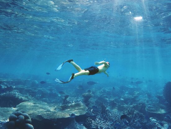 Featured image for blog post titled "Top 10 Snorkeling Riviera Maya Spots in Mexico"